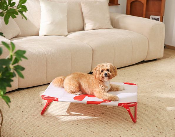 天元宠物 Petstar免安装行军床